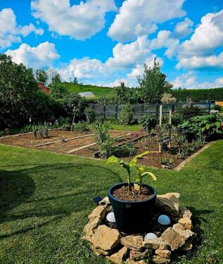 Foto - Grundst&uuml;ck in Breitenworbis