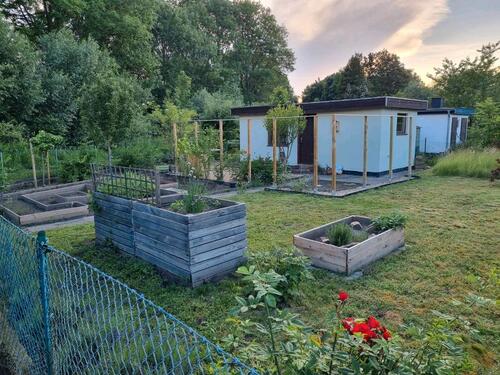 Foto - Kleingarten Parzelle im KGV Gänsekamp