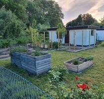 Kleingarten Parzelle im KGV Gänsekamp - Braunschweig Östliches Ringgebiet