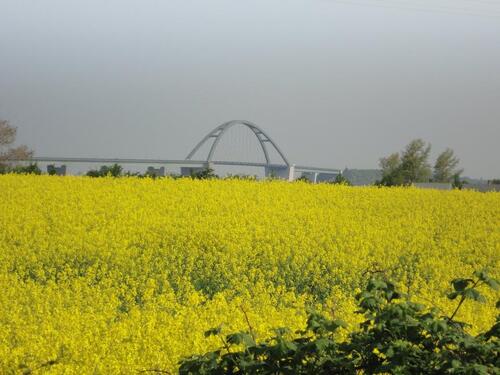 Foto - andere zur Miete in Fehmarn