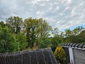 Foto - 3 Zimmer Etagenwohnung zur Miete in Ritterhude