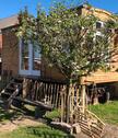 Foto - Einfamilienhaus in Lübz