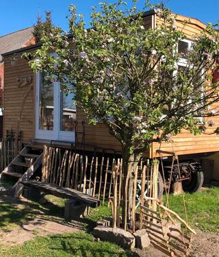 Foto - Einfamilienhaus in Lübz