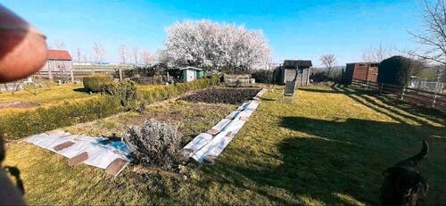 Foto - Pachtgarten - 596,00&nbsp;EUR Kaltmiete, ca.&nbsp; 0,00&nbsp;m&sup2;