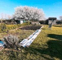 Pachtgarten - 594,00&nbsp;EUR Kaltmiete, ca.&nbsp; 0,00&nbsp;m&sup2; in Erfurt (PLZ: 99099) Daberstedt