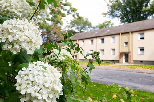 Foto - Klein, fein, zentral: EG-Wohnglück auf zwei Zimmern