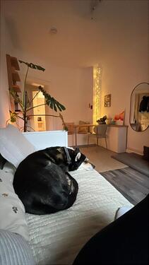 Foto - 1 Zimmer Wohnung - 510,00&nbsp;EUR Kaltmiete, ca.&nbsp; 26,00&nbsp;m&sup2;