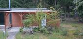 Foto - 3 Zimmer Bungalow zum Kaufen in Bienenbüttel