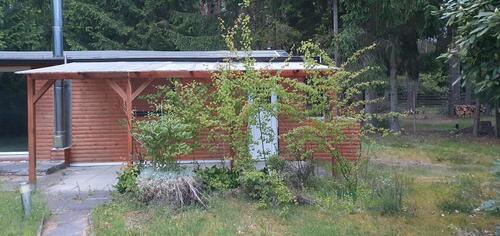Foto - 3 Zimmer Bungalow zum Kaufen in Bienenbüttel