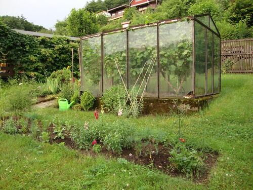 Foto - Kleingarten - 750,00 EUR Kaltmiete, ca.  0,00 m²