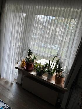 Foto - Etagenwohnung in Wuppertal zur Miete