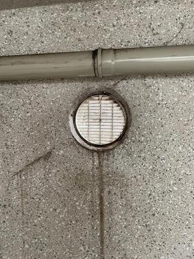 Foto - andere in Solingen