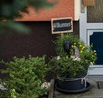 Moderner Wohnkomfort ! Wir sanieren für Sie 3-Raumwohnungen in Wolfen-Nord ! - Bitterfeld-Wolfen