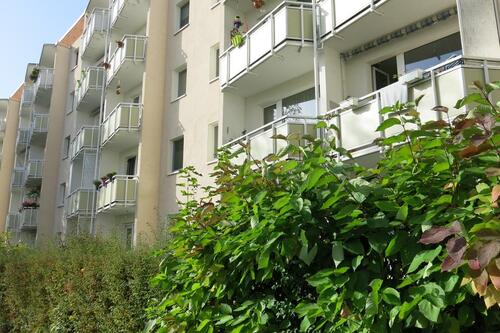 Foto - Etagenwohnung zur Miete in Nordhausen