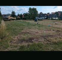 Bauland Baugrundstück Remlingen-Semmenstedt OT Timmern 2000qm