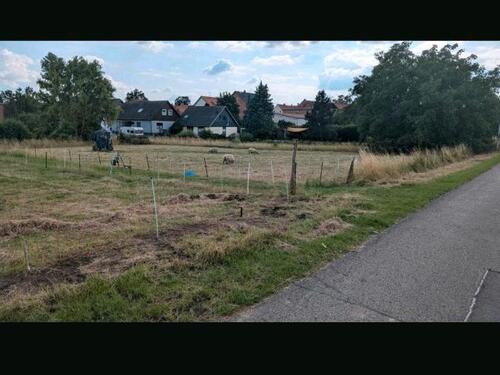 Foto - Grundst&uuml;ck zum Kaufen in Remlingen-Semmenstedt