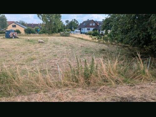 Foto - Grundst&uuml;ck in Remlingen-Semmenstedt zum Kaufen