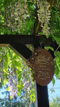 Foto - Garten zur Pacht in Kleingartenanlage Stadtroda