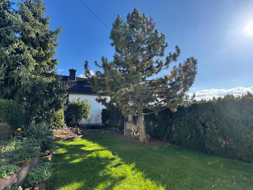 Foto - 9 Zimmer Mehrfamilienhaus, Wohnhaus in Waldems