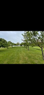 Foto - Obstwiese zu verpachten - 250,00&nbsp;EUR Kaltmiete, ca.&nbsp; 0,00&nbsp;m&sup2;
