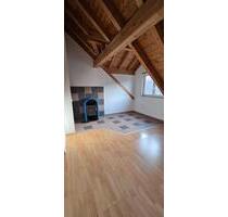 3 Zimmer schöne Dachgeschoss zu Vermieten - Wernau (Neckar)
