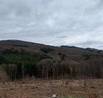 Wald Grundstück in der bayrischen Rhön - Riedenberg