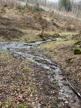 Foto - Grundst&uuml;ck zur Miete in Riedenberg