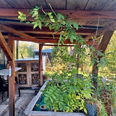 Foto - Grundst&uuml;ck in Pockau-Lengefeld