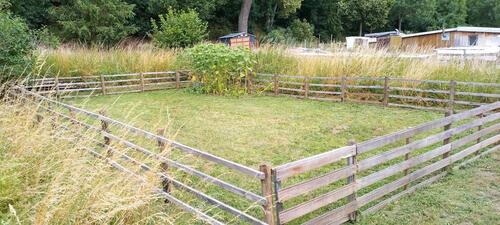 Foto - Grundst&uuml;ck in Neuhof zur Miete