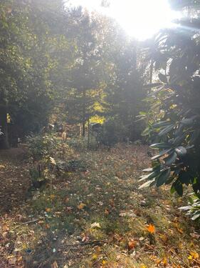 Foto - Grundstück zur Miete in Zschopau