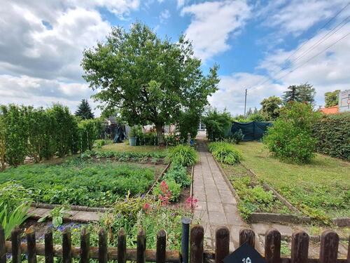 Foto - Garten Schkeuditz bei Lidl Hallesche Str.