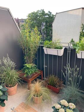 Foto - Etagenwohnung in Magdeburg zur Miete