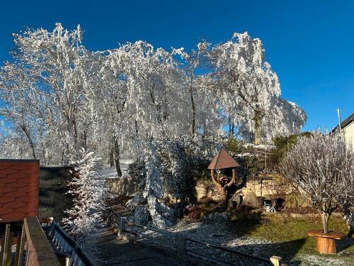 Foto - 2 Zimmer Etagenwohnung zur Miete in Seiffen/Erzgebirge