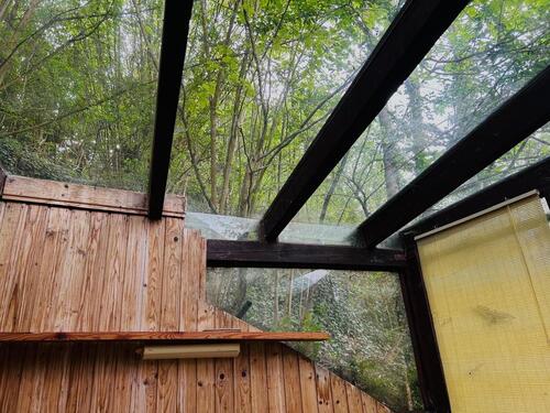 Foto - Einfamilienhaus in Brakel zum Kaufen