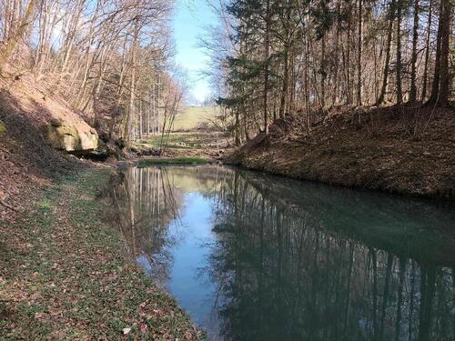 Foto - Wochenendgrundstück Freizeitgrundstück mitWeiher