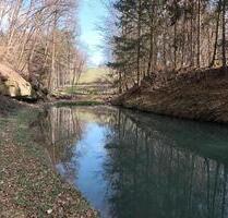 Wochenendgrundstück Freizeitgrundstück mitWeiher - Sankt Wendel