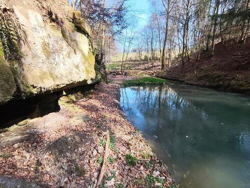 Foto - Grundst&uuml;ck zur Miete in Sankt Wendel