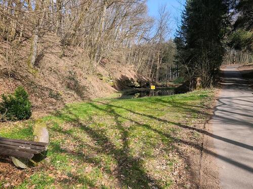 Foto - Grundst&uuml;ck in Sankt Wendel