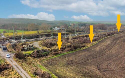 Foto - AUKTION: Grün- und Gehölzflächen