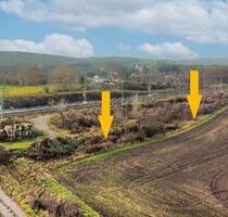 AUKTION: Grün- und Gehölzflächen - Seegebiet Mansfelder Land