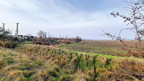 Foto - Grundst&uuml;ck zum Kaufen in Seegebiet Mansfelder Land