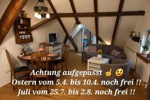 Foto - Ferienwohnung Ostfriesland an der Nordsee mit Hund