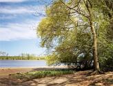Foto - Bungalow in Winsen (Luhe) zum Kaufen