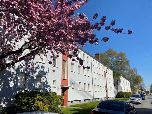 Foto - Unverhofftstraße 11-traumhafte 2 ZKB Wohnung im EG *ab sofort* zu vermieten