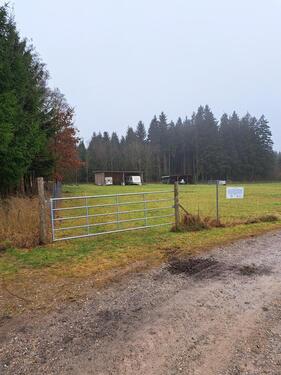 Foto - andere zur Miete in Unteregg