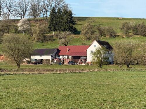 Foto - Wohnen im grünen mit Pferd? Drei Zimmer Küche Bad