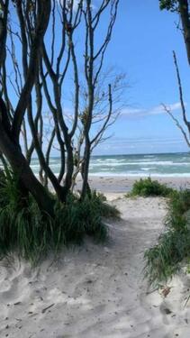 Foto - andere in Barth