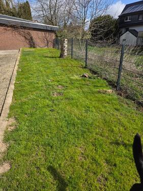 Foto - 3 Zimmer Erdgeschoßwohnung zur Miete in Bünde