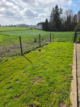 Foto - 3 Zimmer Erdgeschoßwohnung in Bünde