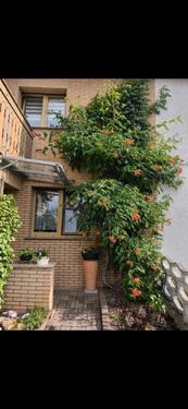 Foto - Landhaus gepflegt zu verkaufen - 250.000,00&nbsp;EUR Kaufpreis, ca.&nbsp; 120,00&nbsp;m&sup2;